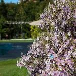 Rostagni 1834 With Pool In The Barolo Region 诺韦洛