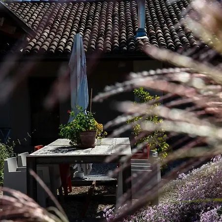 Rostagni 1834 With Pool In The Barolo Region Apartament *