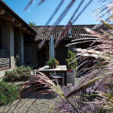 Rostagni 1834 With Pool In The Barolo Region Apartment *