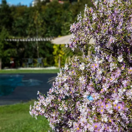 Rostagni 1834 With Pool In The Barolo Region Novello