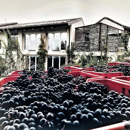 Rostagni 1834 With Pool In The Barolo Region Novello