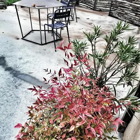 דירה Rostagni 1834 With Pool In The Barolo Region