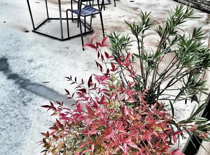 Apartment Rostagni 1834 With Pool In The Barolo Region